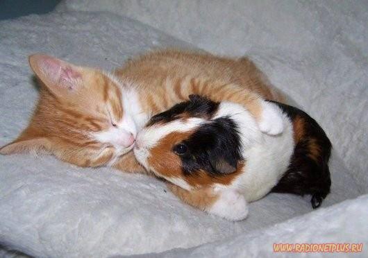 Давайте улыбаться вместе! :) Давайте улыбаться вместе! :)