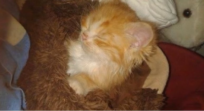 http://mimimetr.me/wp-content/uploads/2017/10/1-478.jpg