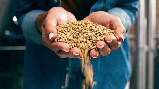 Ячмень — это вам не просто перловка: чем еще полезна крупа, которая снижает холестерин