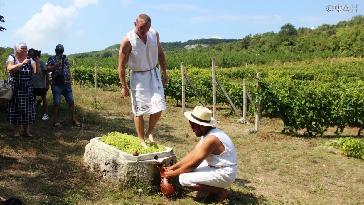 Фермеры рассказали, с какими сложностями сталкиваются при изготовлении вина в Крыму Общество