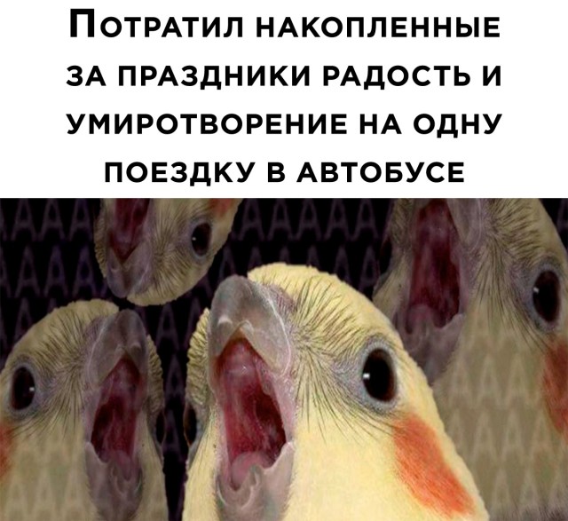 Подборка прикольных картинок  приколы,смешные картинки,юмор