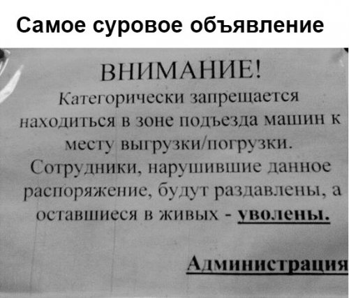 Прикольные картинки для всех Прикольные картинки для всех