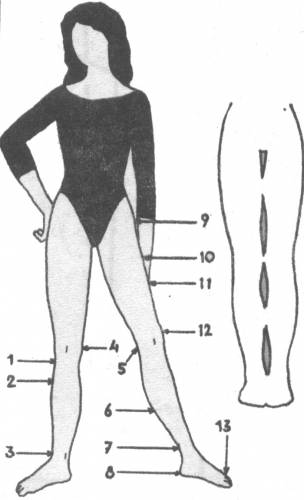 О женских ногах О женских ногах
