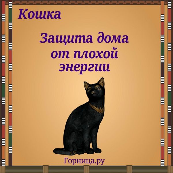 Кошки защищают. Защита кошек. Кошка защищает. Кошка под защитой. Кошка защищает дом.