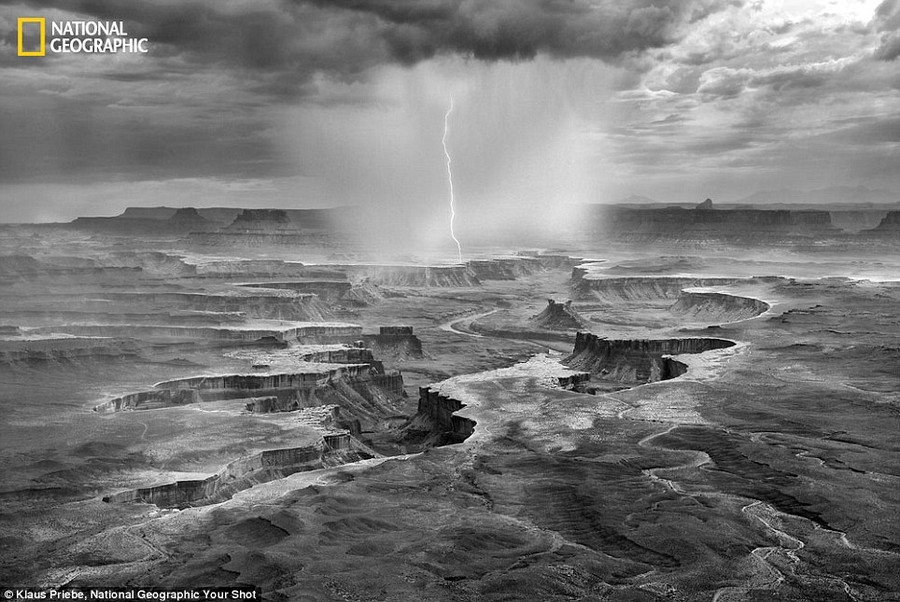 Фантастические снимки читателей журнала  National Geographic national geographic, животные, мир, природа, фотографии