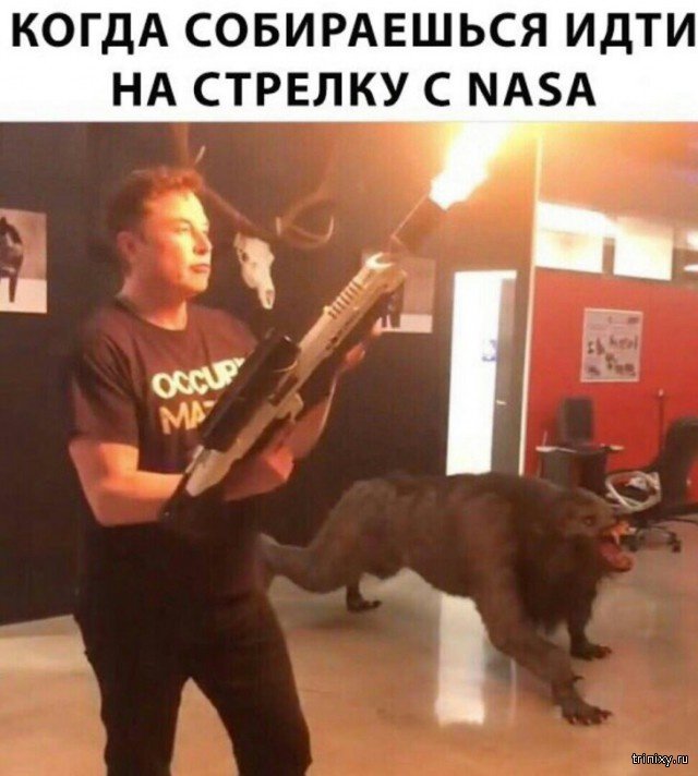 Подборка прикольных картинок  смешные картинки