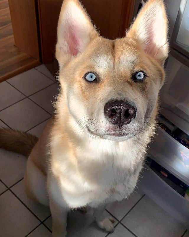 Мимишные фото от которых на душе станет теплее