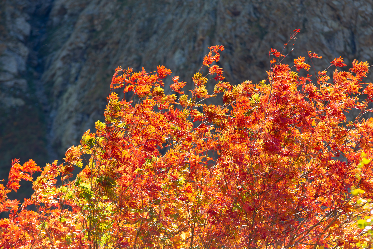 Осень в горах: маршрут к Чучхурскому водопаду 