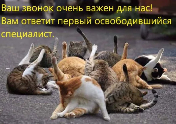 Пятница, ты прекрасна! Лови порцию позитива и смеха перед выходными!