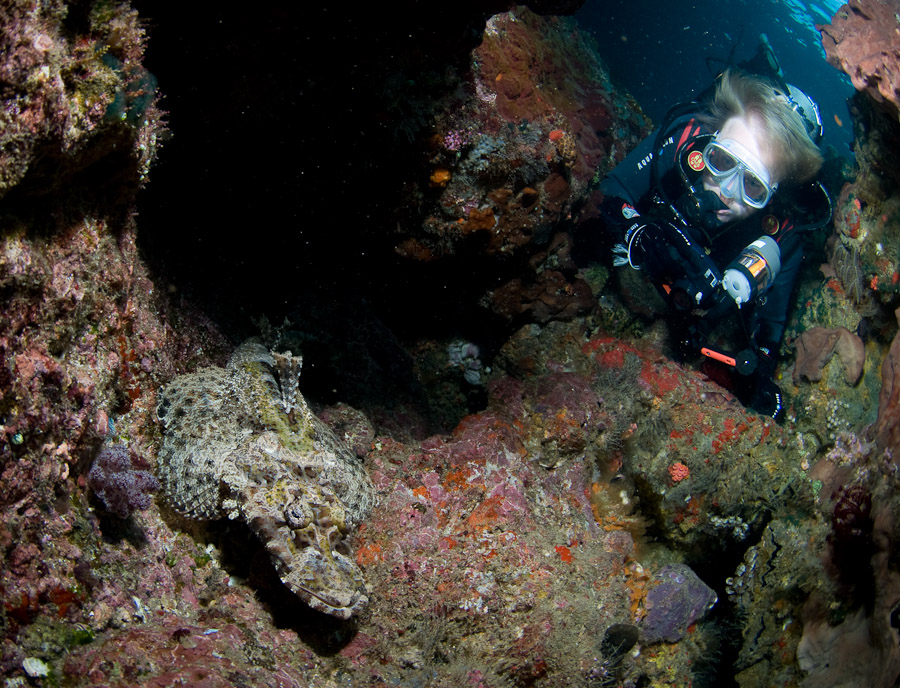 Фотография: Волшебный мир архипелага Раджа Ампат №14 - BigPicture.ru