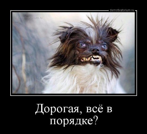 Свежая порция демотиваторов для хорошего настроения Свежая порция демотиваторов для хорошего настроения mir-interes.info