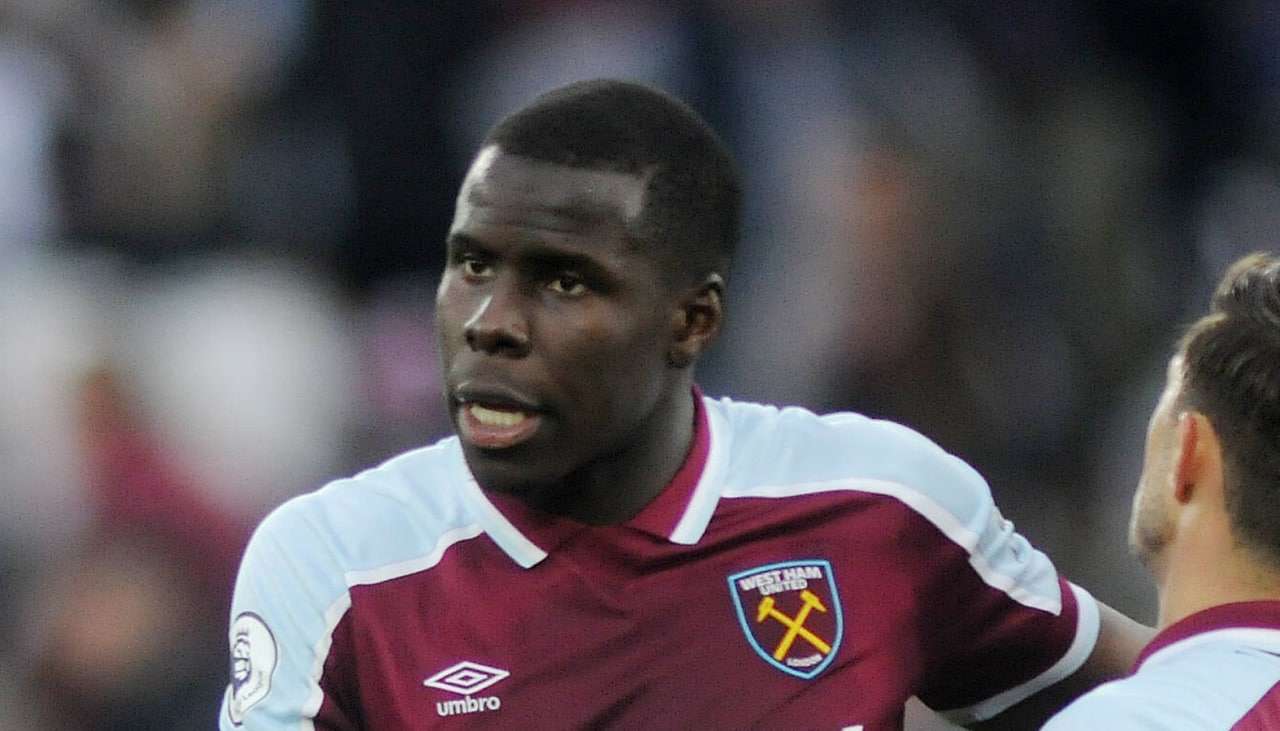 Избившего свою кошку футболиста Зума приговорили к общественным работам