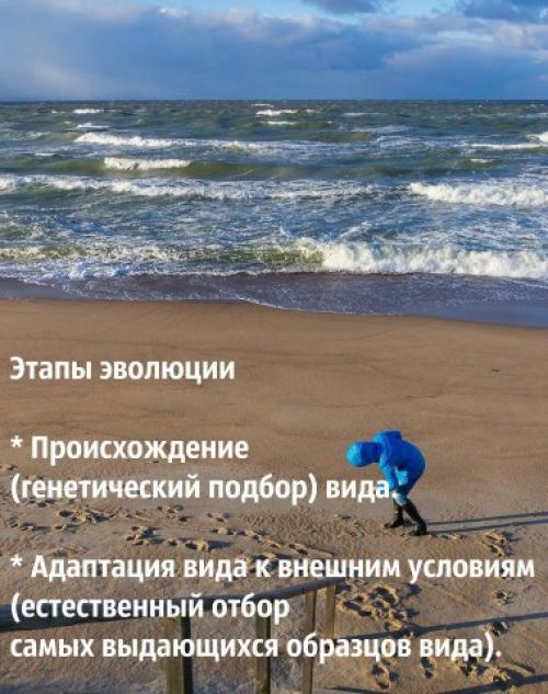 Самые первые люди на Земле. Чего не знал Дарвин в 1859 году об особенностях появления новых видов на Земле