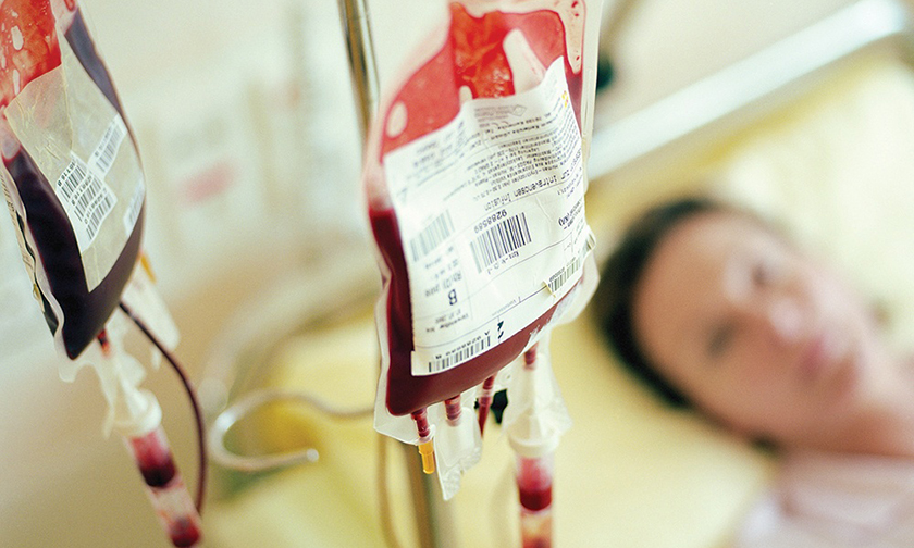 Как стать донором крови. Подробная инструкция крови, донором, кровь, стать, жизни, донора, доноры, можно, только, несколько, список, сдачи, получает, центре, тромбоцитов, минут, донорства, нужны, донорам, течение