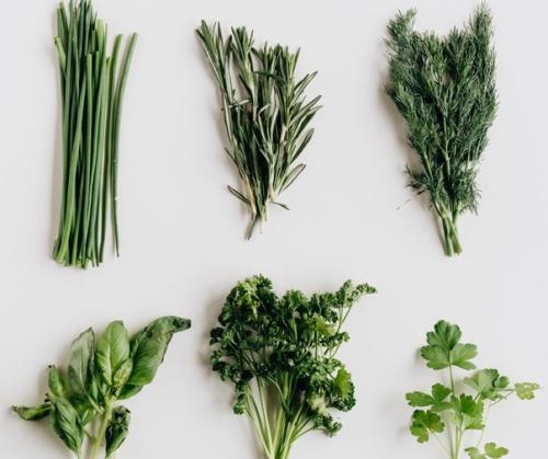 Полезные свойства зелени и трав применяемые в пище и в лечении.