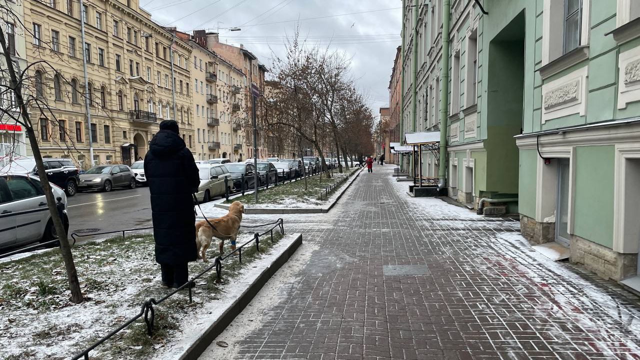 Дом 26 ноября. Похолодание в Петербурге. Тверская зимой. Питер зимой. Заснеженный Петербург.