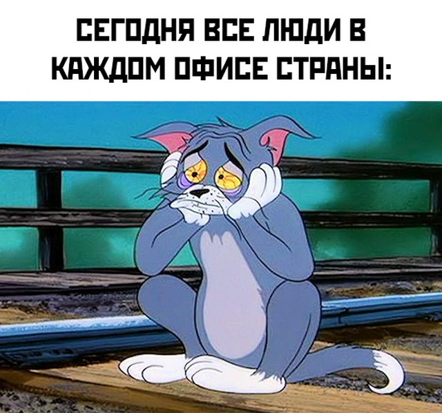 Подборка прикольных картинок  приколы,смешные картинки,юмор