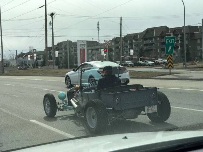 Подборка картинок. Дневной выпуск (51 фото)