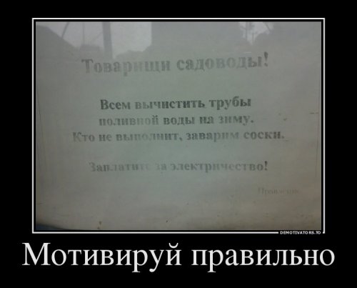 Свежая порция демотиваторов (12 шт)