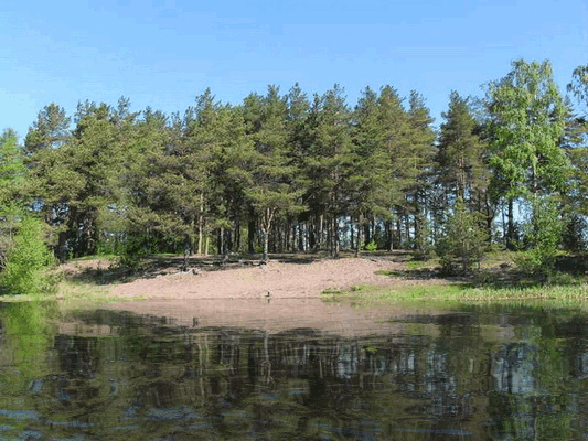 Подборка жизненных гифок на выходные 