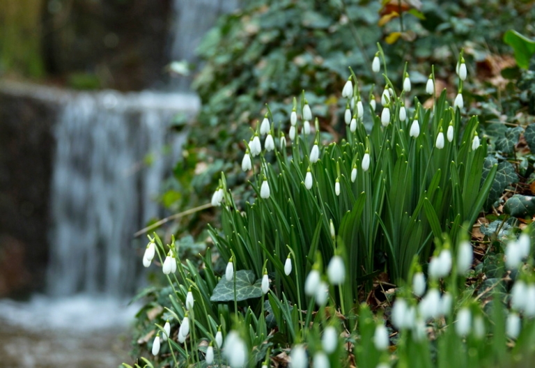 Вода в Крыму: дело — труба, и дело это успешно двигается Вода в Крыму: дело — труба, и дело это успешно двигается россия