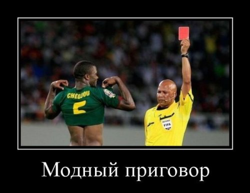 Немного прикольных демотиваторов 