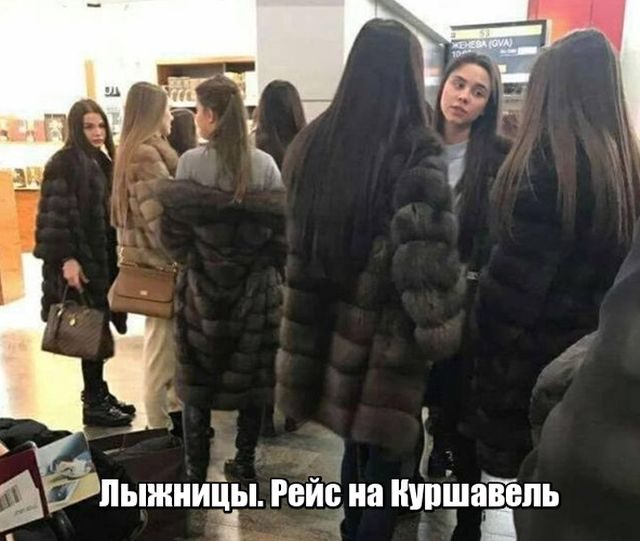 Подборка прикольных фоток!