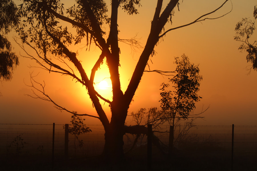 Morning Mist! by Bruce Prothero on 500px.com