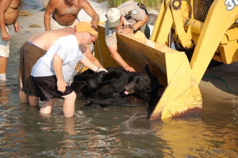 Медведь тонул в воде. От того, что сделал этот мужчина, бросает в пот.