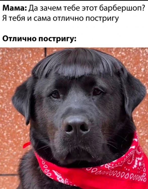 Прикольный юмор в картинках Прикольный юмор в картинках