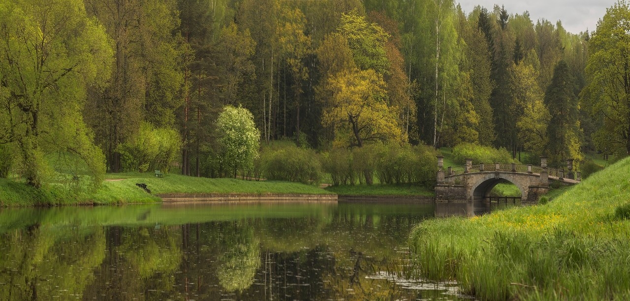 Фото павловский парк летом