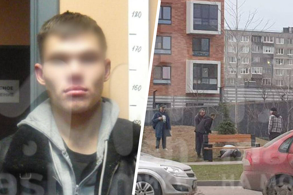 Mash: домогавшийся елки в Петербурге мужчина был в розыске за кражу