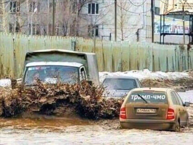 Надписи на машинах, которые заставят вас улыбнуться юмор.