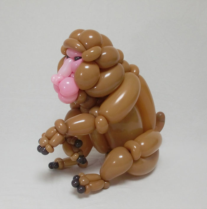 Snow Monkey
