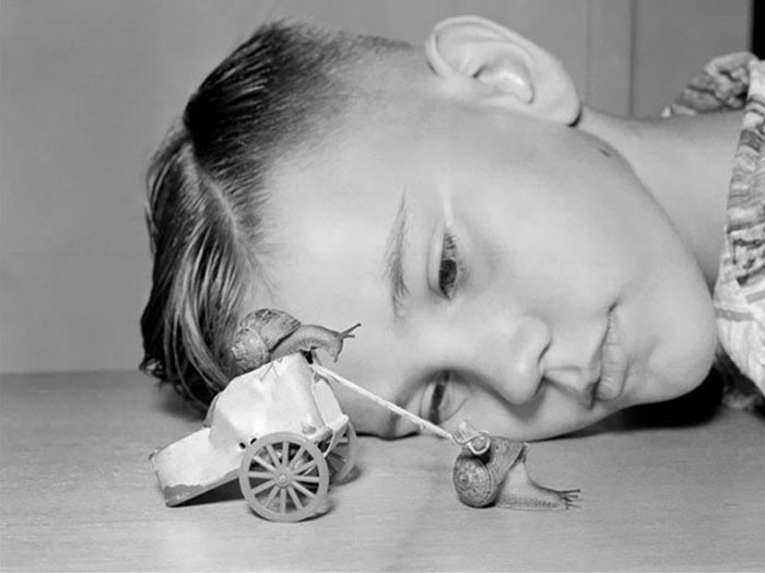 19. 10-летний Мартин наблюдает за гонкой улиток, Калифорния, 1954 год детство, прошлое, фотография