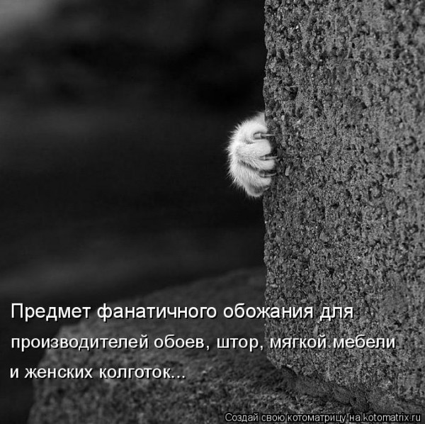 Мысли вслух :)