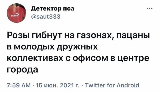 Приколы про работу в офисе  позитив,смешные картинки,юмор