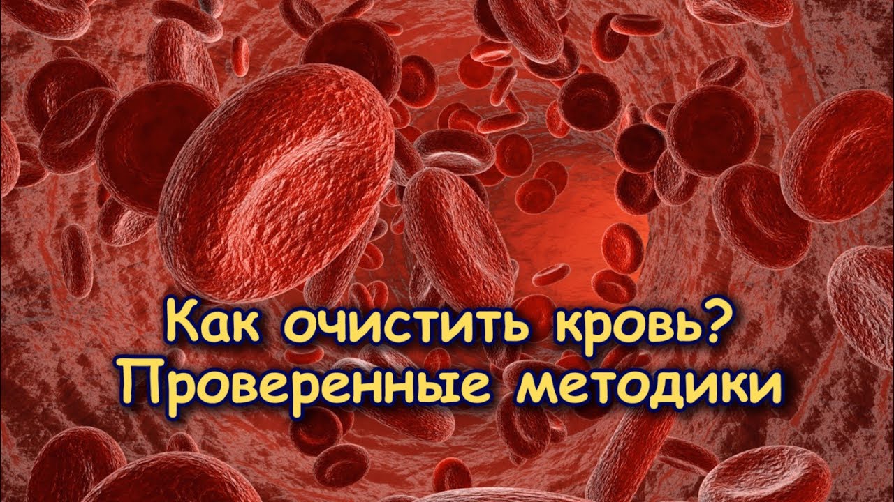 Картинки по запросу Обнови кровь