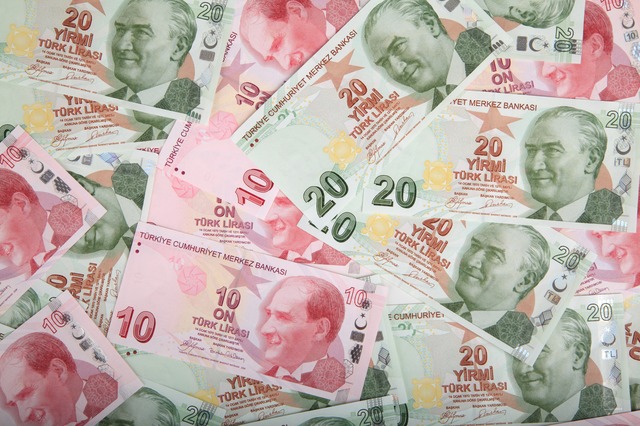 Эрдоган заменил министра финансов Турции на фоне рекордного падения лиры