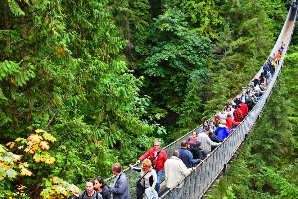 15 самых страшных мостов в мире интересное,мир,мосты