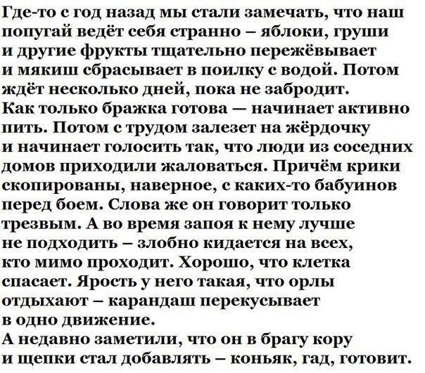 До выходных еще несколько дней, а шутки про алкоголь уже завезли