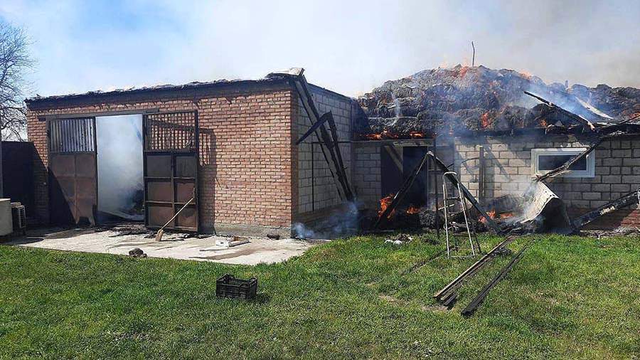 Сотрудники МЧС России спасли на пожаре в Чеченской Республике ягнят и телят 