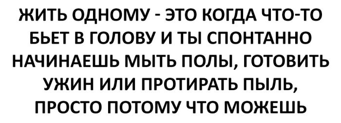 Смешные картинки с надписями для поднятия настроения (11 фото)