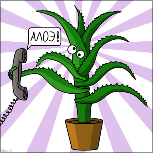 Икра слов Икра слов