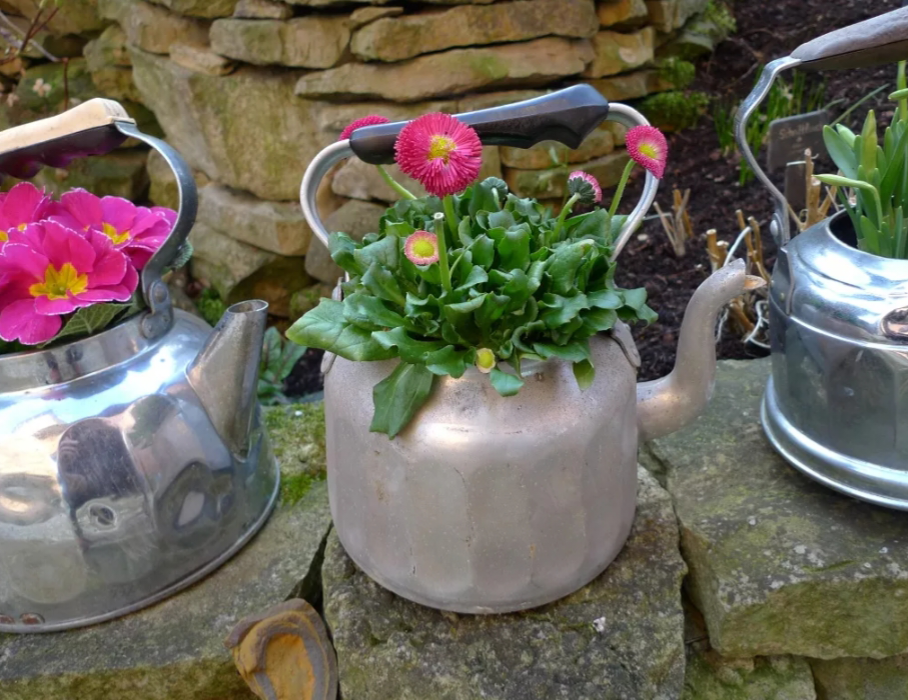 Выбросить или любоваться? Чайник в саду очень, чайник, любимая, которые, может, использования, выбрасывать, виола, здесь, чайников, чайника, такое, пирожное, кормушка, скорее, цветы, чтобы, понравился, Чайник, цветов