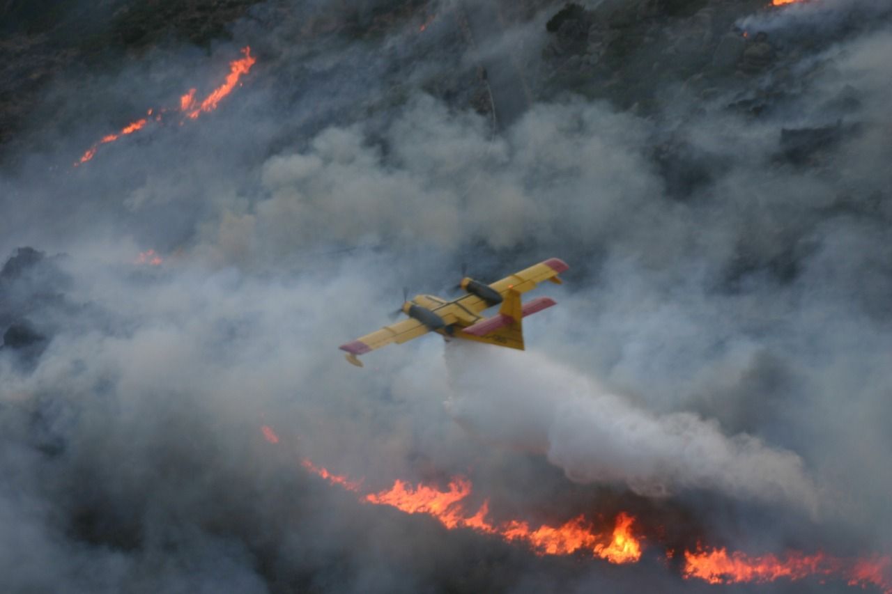 Самолет рухнул во время тушения лесных пожаров в Португалии Происшествия