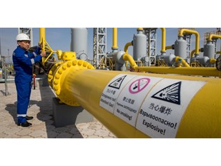 Калифорния «плачет и ест кактус»: зеленая энергетика погружает штат в каменный век