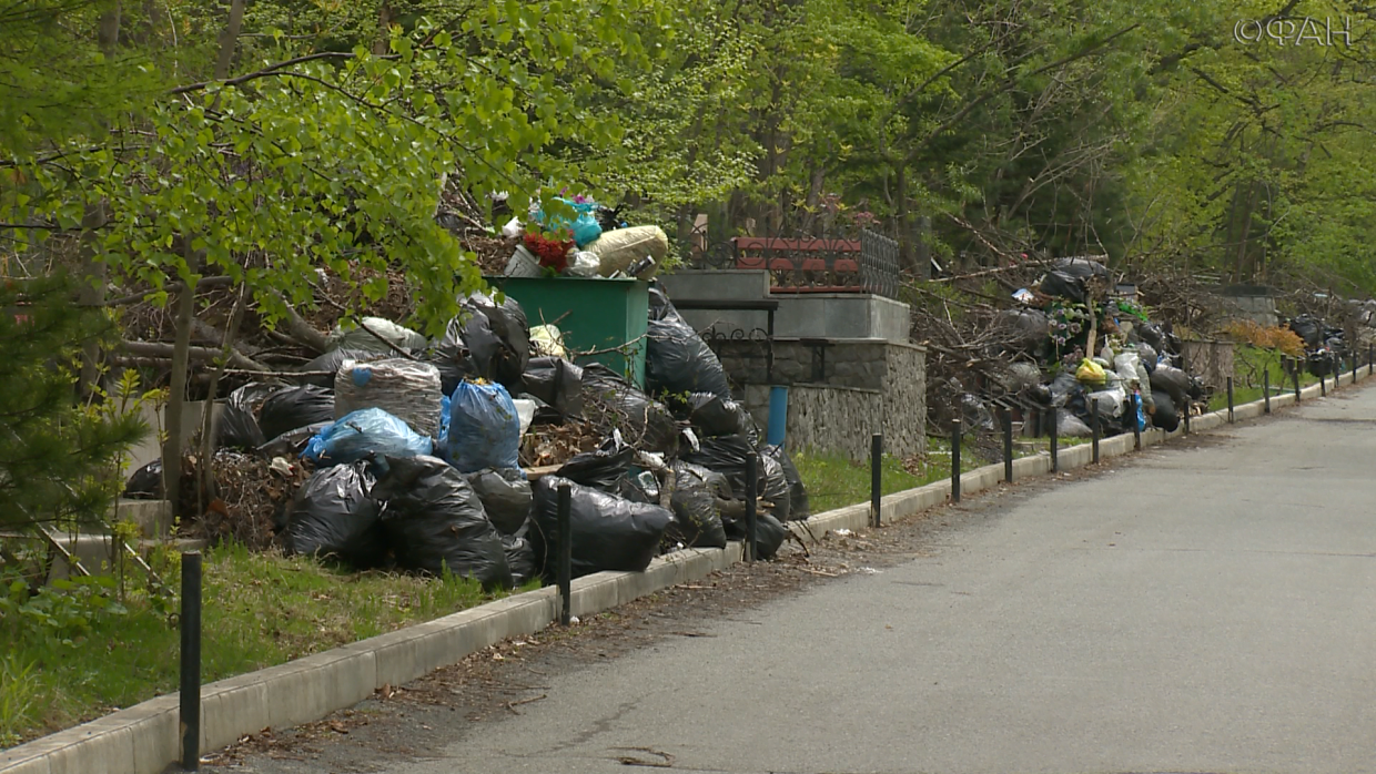 «Горы мусора»: Лесное кладбище во Владивостоке в эпицентре скандала
