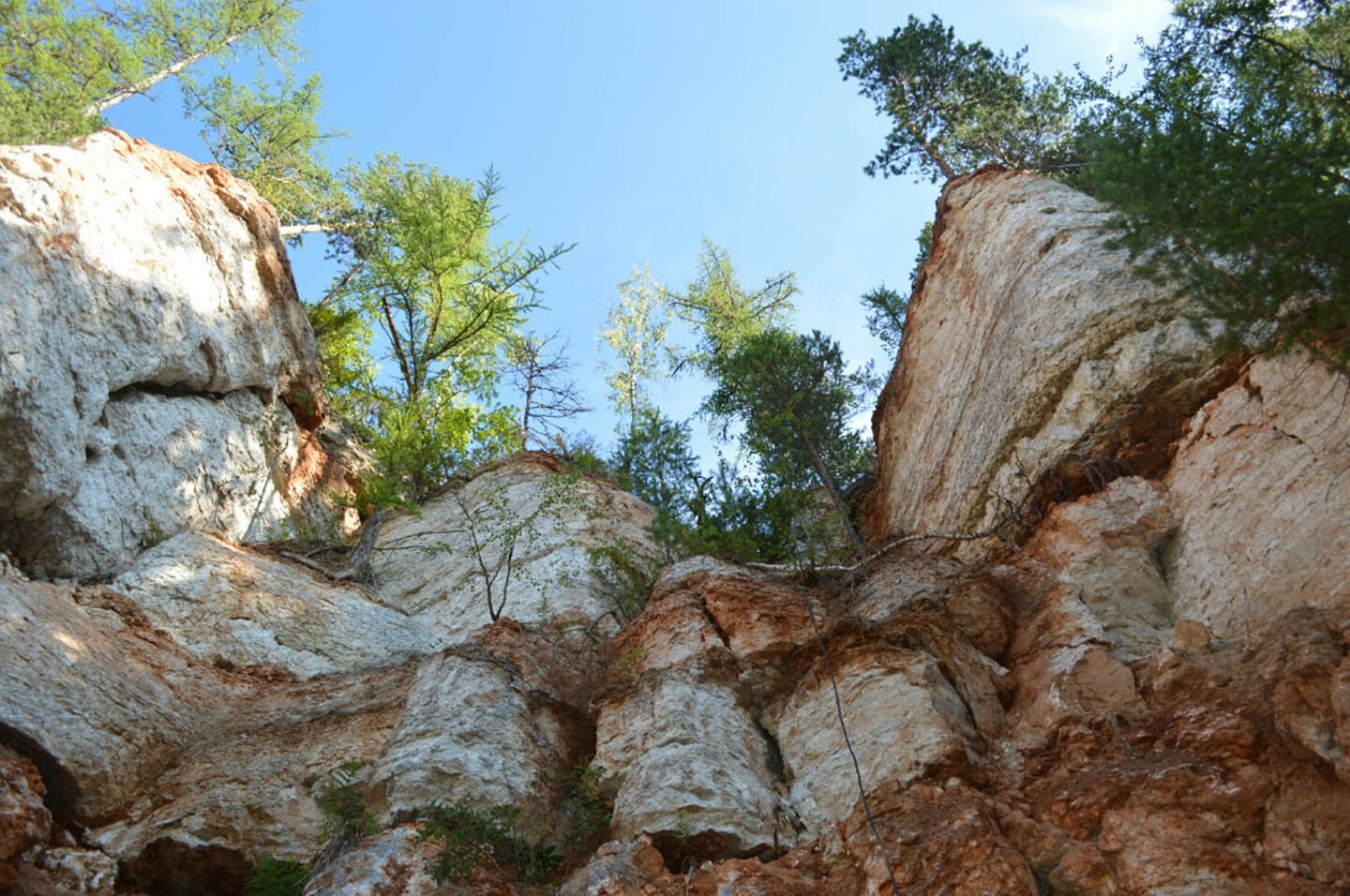 Тараканий лог