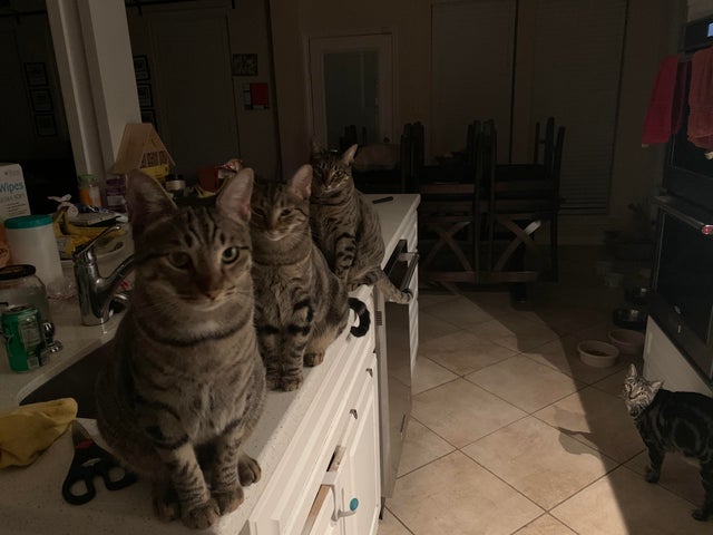 Мимишные фото от которых на душе станет теплее